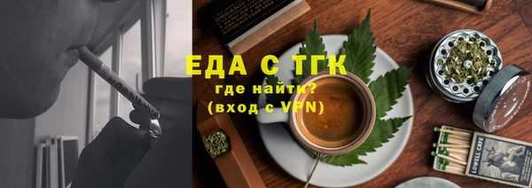 мдпв Ельня