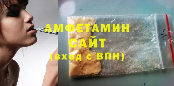 мдпв Ельня