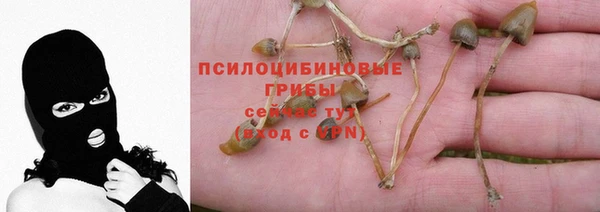 мдпв Ельня