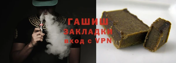 мдпв Ельня