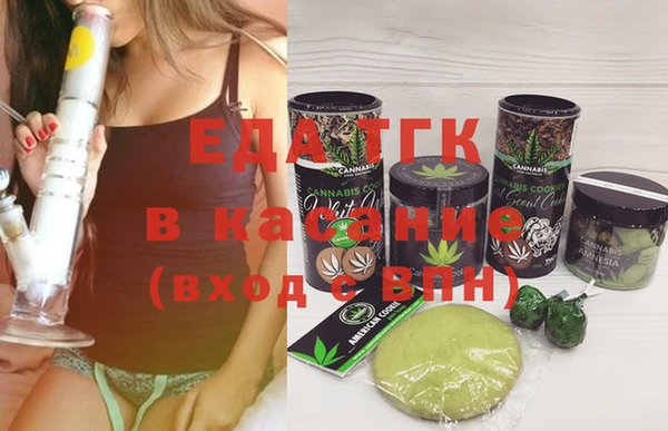 мдпв Ельня