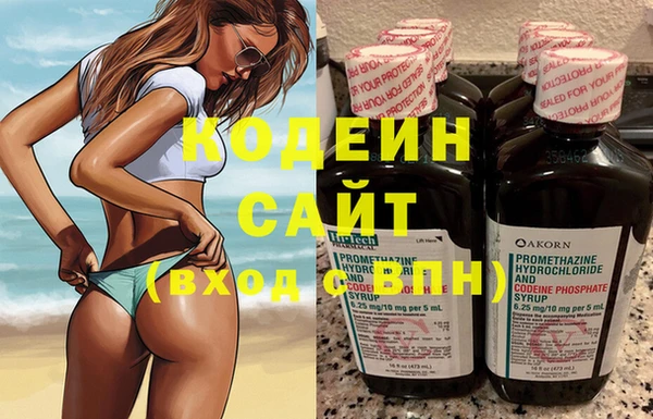 мдпв Ельня