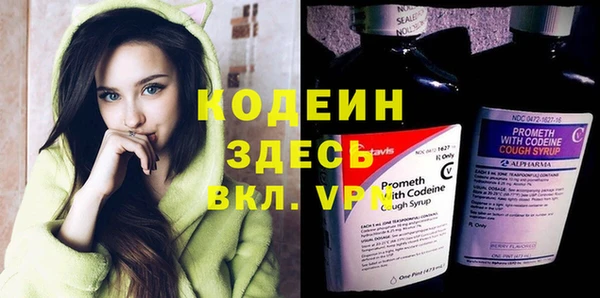 мдпв Ельня