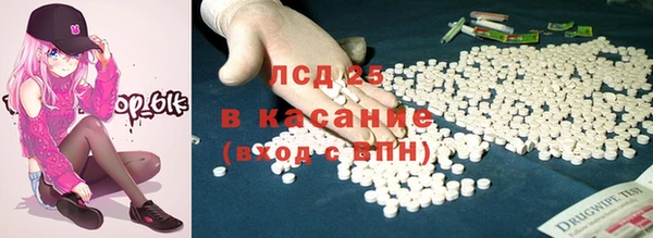 мдпв Ельня