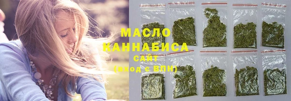 мдпв Ельня