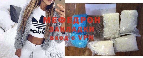 мдпв Ельня