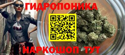 ПСИЛОЦИБИНОВЫЕ ГРИБЫ Дубна