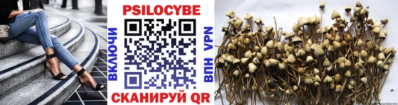 купить закладку  Спасск-Дальний  Псилоцибиновые грибы Psilocybine cubensis 