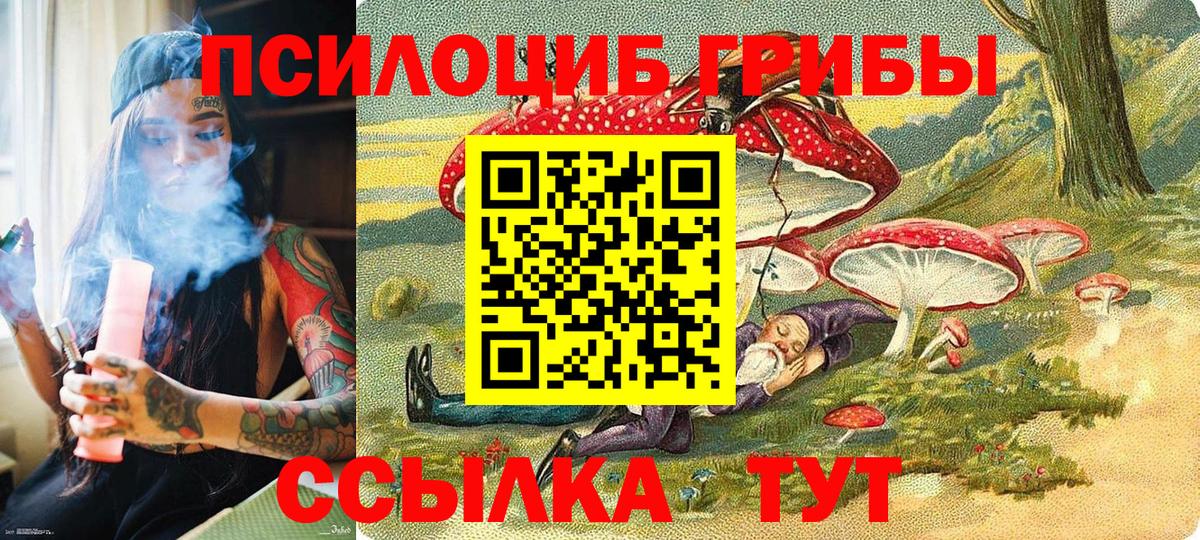 Псилоцибиновые грибы Psilocybine cubensis  магазин продажи   Спасск-Дальний 