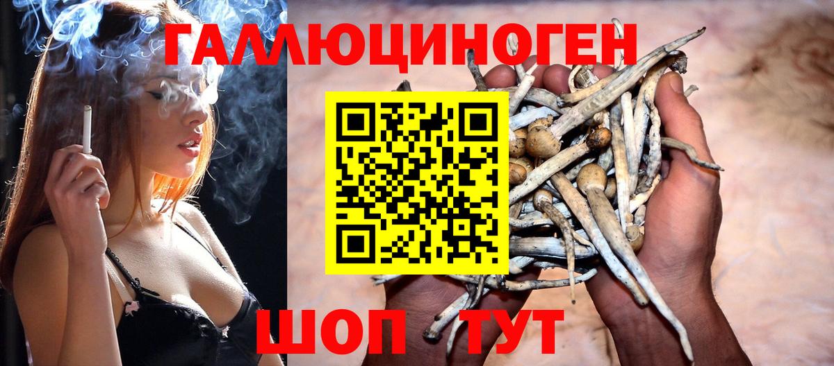 Галлюциногенные грибы мухоморы  Вход с VPN  Спасск-Дальний 